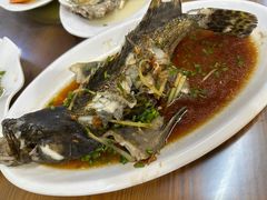 清蒸石斑鱼-板桥海鲜广场(文明东店)