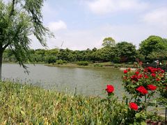-上海鲜花港