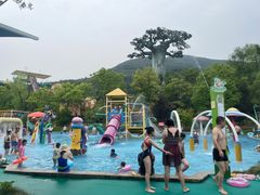 -苏州乐园森林水世界