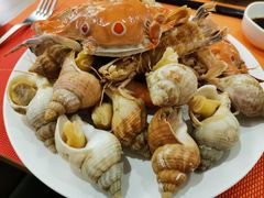 翡翠螺-万德诺富特酒店·自助餐厅(万德大厦店)