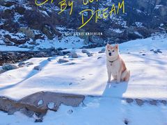 -秦岭终南山世界地质公园翠华山景区