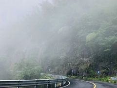 -帐篷客·溪龙茶谷度假酒店