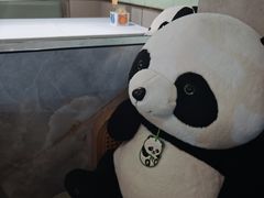 -眉州东坡(翠微印象城店)
