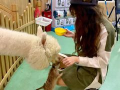 -藦茜花园宠物主题亲子互动体验馆(国顺东路店)