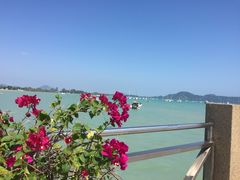 -普吉镇