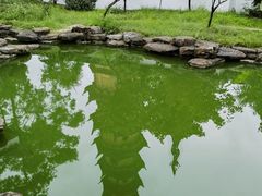 -吴作人艺术馆