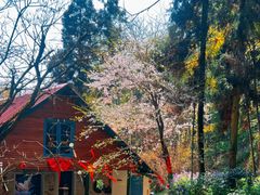 -莫干山风景区