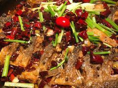 -老板恋上鱼(印象城店)