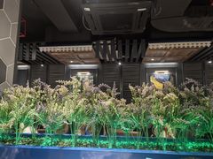 -通海俄式烧烤·俄罗斯大串(嵩山路店)