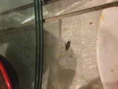 -维吾尔餐厅(宜山路店)