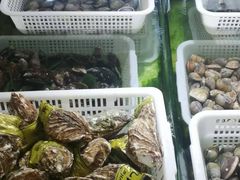 -南庄酒家·海鲜粤菜·25年老字号(环城南路店)