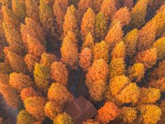 -黄海国家森林公园