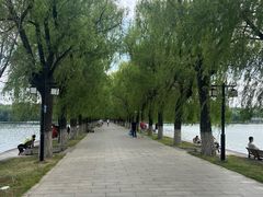 -北陵公园