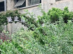 -more than meow吴止猫主题餐厅(承德 中船汇店)