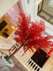 -禾丽康美医疗美容医院