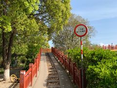 -高东镇樱花园