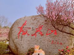 -梅花山(明孝陵内)