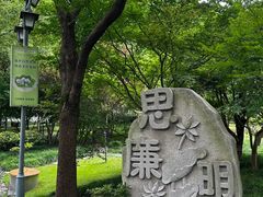 -陈家山荷花公园
