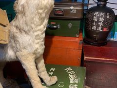 -老阿妈乌海蒙餐馆(锦馨园小区店)