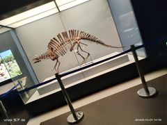 -湖南省地质博物馆