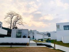 -龙坞茶村
