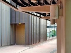-香港大学