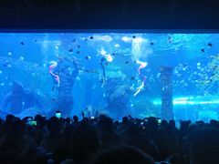 -波塞冬旅游度假区