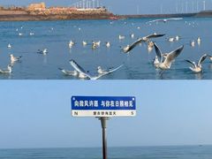 -巧克力渔家.小船海鲜胶东菜(万平口店)