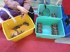 -蟹天蟹地农家菜·阳澄湖大闸蟹(浅水湾店)