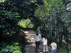 -东明山森林公园
