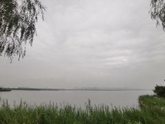 -天津东丽湖风景区
