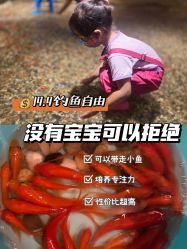 -造物庄园 萌宠纪(苏州湾歌林公园店)