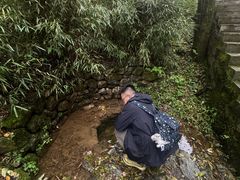 -牛背梁国家森林公园