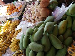 -瑞丽独树成林风景区