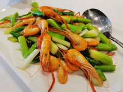 芦笋炒河虾-道道鲜·崇明私房菜(五角场店)