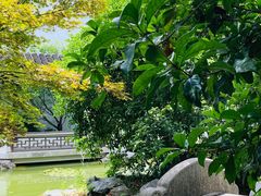 -秋霞圃