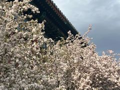 -福海居烤鸭店(鸟巢店)