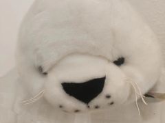 -聚星影咖