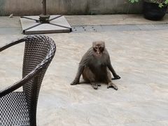 -苏州环秀晓筑养生度假村