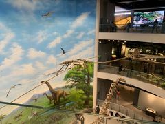 -辽宁古生物博物馆