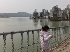 -东湖落雁景区