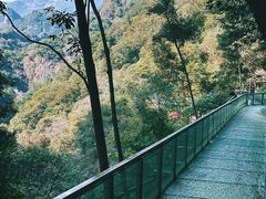 -龙湾潭国家森林公园