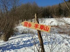 -雪谷