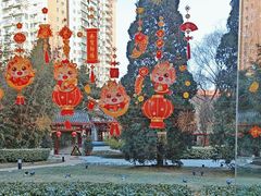 -咖啡CHA自助餐厅(香格里拉饭店)