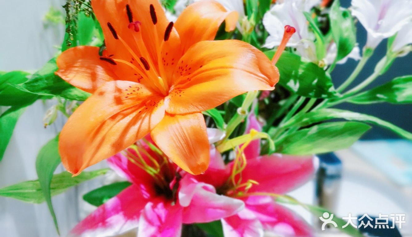 舒适的spa，缓解疲劳好去处