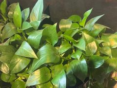 -手选潮汕鲜牛肉火锅(二七广场店)