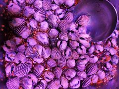 -长平肥姐白粥·海鲜打冷