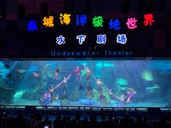-泉城欧乐堡海洋极地世界