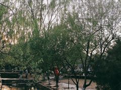 -三里河公园