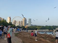 -星海蹦极娱乐